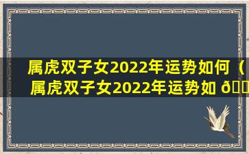 属虎双子女2022年运势如何（属虎双子女2022年运势如 🐘 何看）